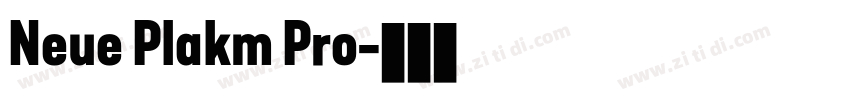 Neue Plakm Pro字体转换